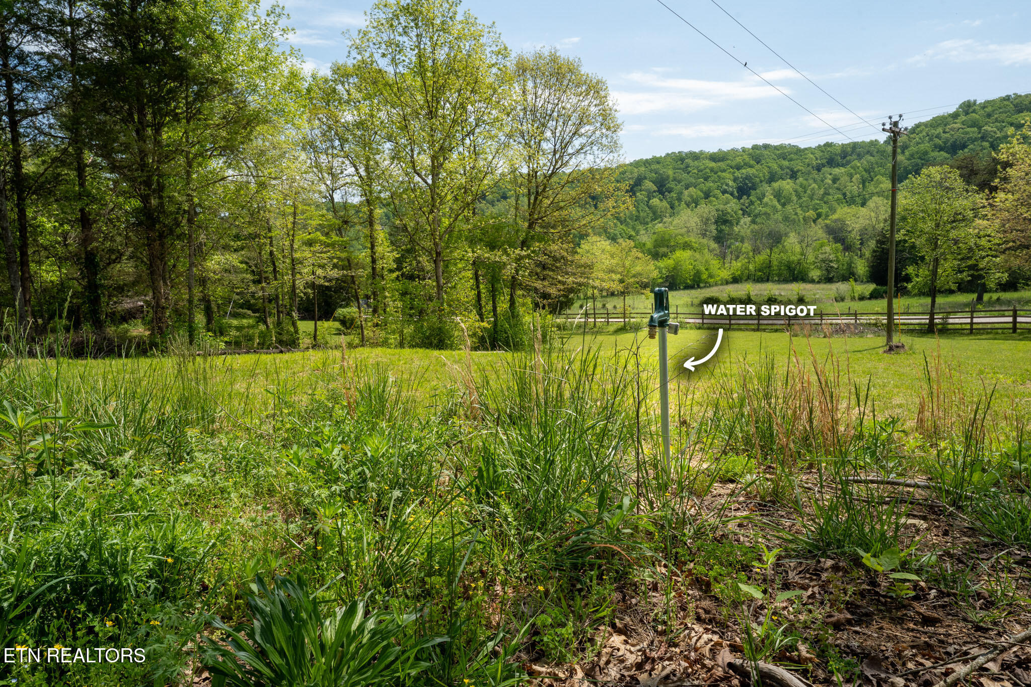 674 Paint Rock Valley Rd