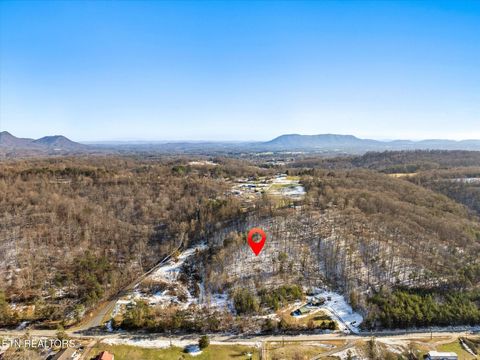 Tiny photo for 515 Wallace Rd, Luttrell, TN 37779 (MLS # 1331084)