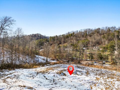 Tiny photo for 515 Wallace Rd, Luttrell, TN 37779 (MLS # 1331084)