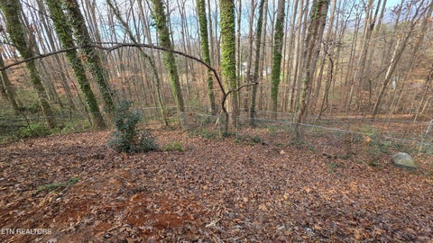 Tiny photo for 1135 W Outer Drive, Oak Ridge, TN 37830 (MLS # 1323902)