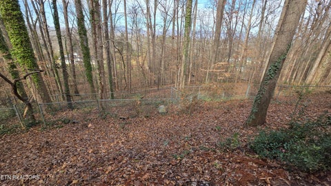 Tiny photo for 1135 W Outer Drive, Oak Ridge, TN 37830 (MLS # 1323902)