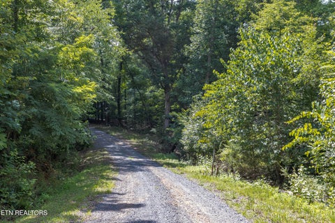 Tiny photo for 0 Half Moon Circle, Spring City, TN 37381 (MLS # 1348693)