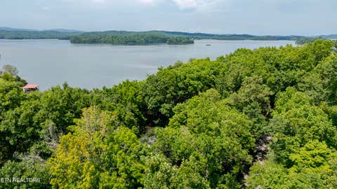 Tiny photo for 0 Half Moon Circle, Spring City, TN 37381 (MLS # 1348693)