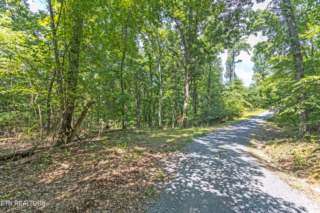 Photo of 0 Half Moon Circle, Spring City, TN 37381 (MLS # 1348693)