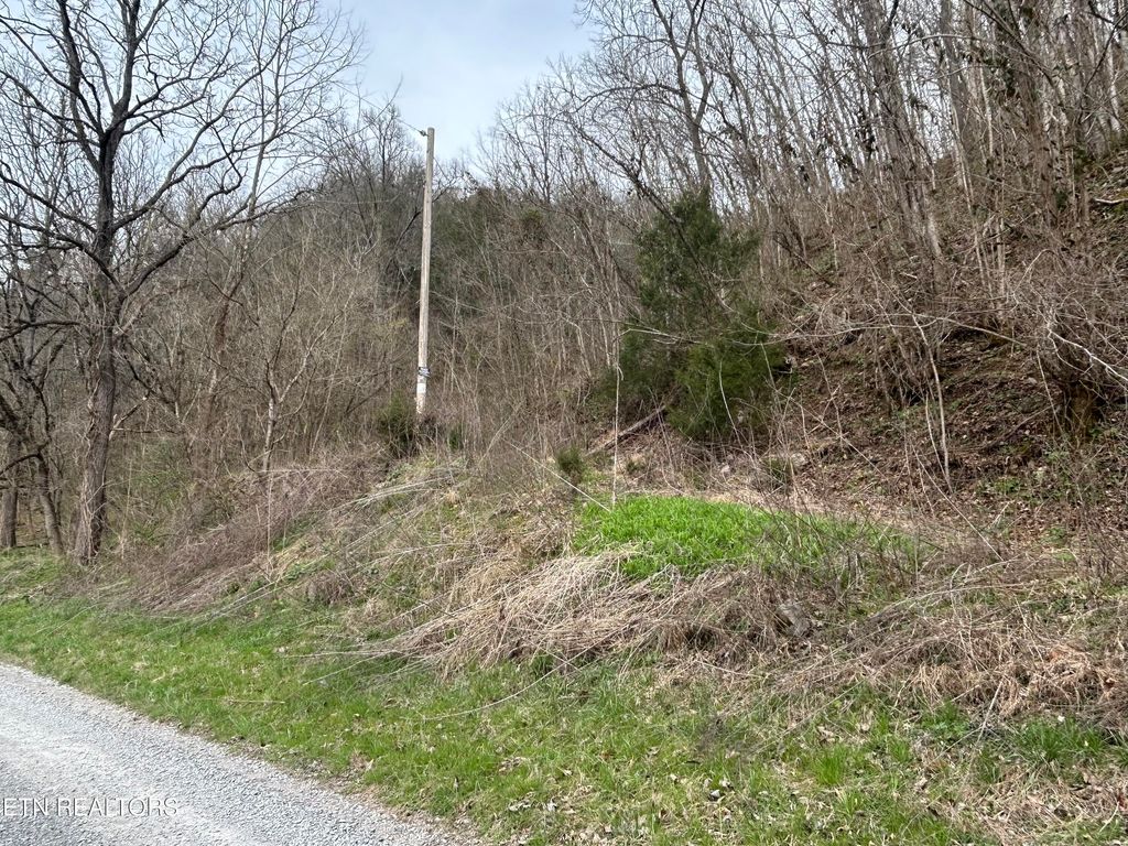 Photo of Mulberry Gap Rd #031 002.00, Sneedville, TN 37869 (MLS # 1333051)
