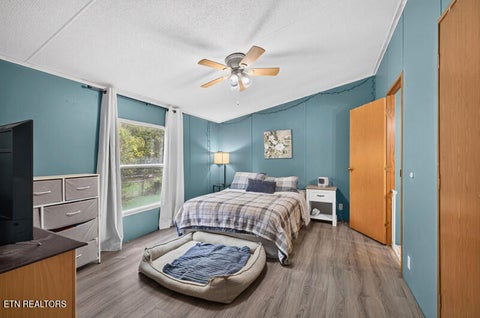 Tiny photo for 853 Whitaker Rd, New Market, TN 37820 (MLS # 1359047)