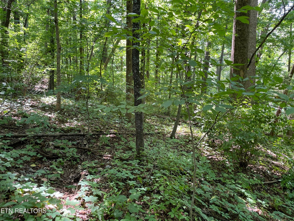 Photo of 3316 Gumstand Drive, Powell, TN 37849 (MLS # 1239575)