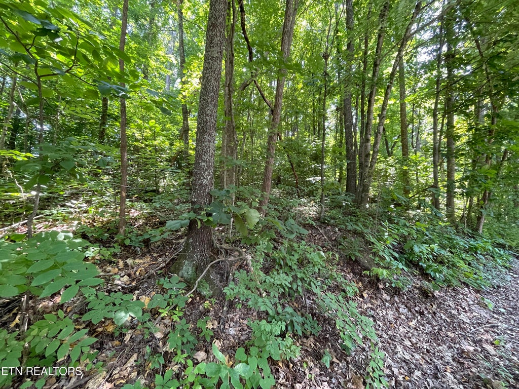 Photo of 3316 Gumstand Drive, Powell, TN 37849 (MLS # 1239575)
