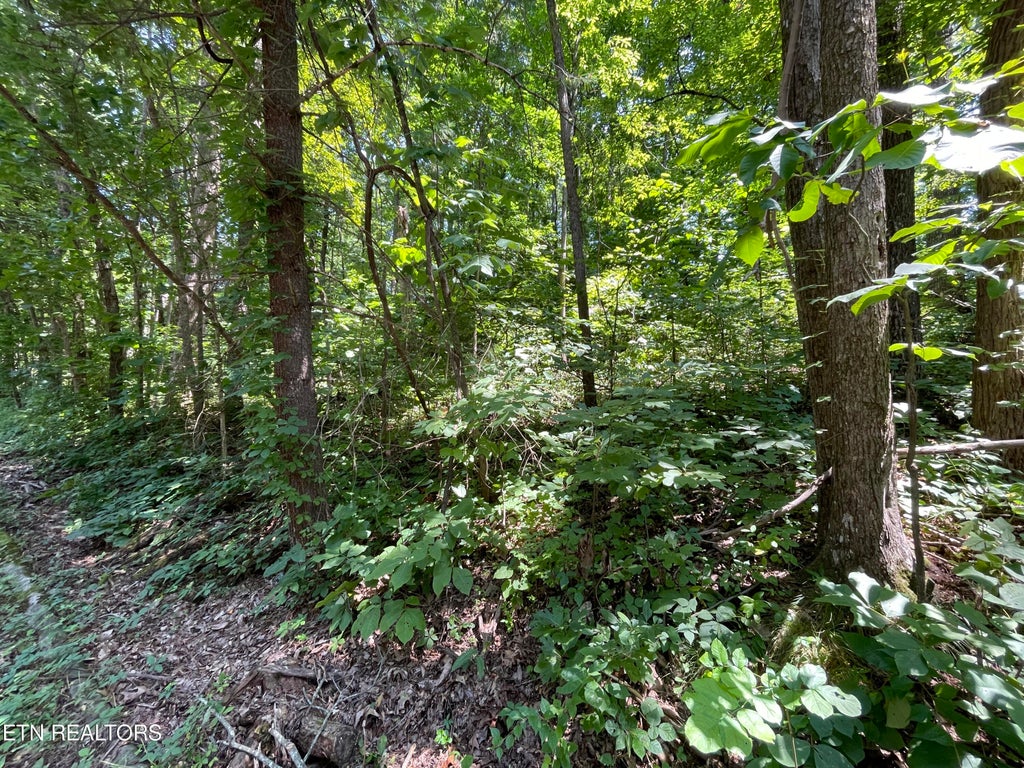 Photo of 3316 Gumstand Drive, Powell, TN 37849 (MLS # 1239575)