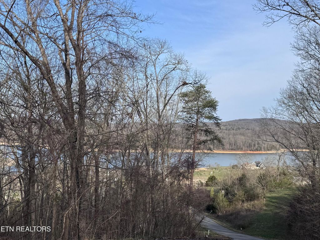 Photo of 344 Larayne Hollow Rd, Sharps Chapel, TN 37866 (MLS # 1332909)