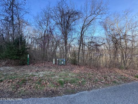 Tiny photo for 344 Larayne Hollow Rd, Sharps Chapel, TN 37866 (MLS # 1332909)