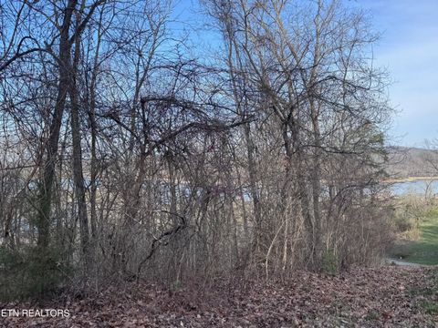 Tiny photo for 344 Larayne Hollow Rd, Sharps Chapel, TN 37866 (MLS # 1332909)