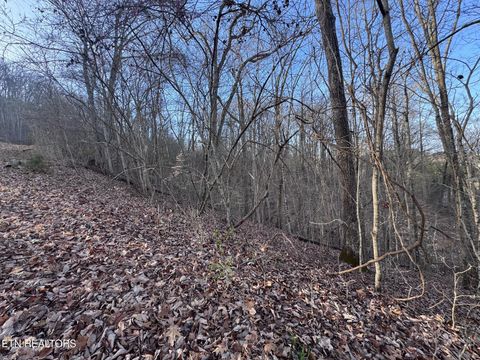 Tiny photo for 344 Larayne Hollow Rd, Sharps Chapel, TN 37866 (MLS # 1332909)
