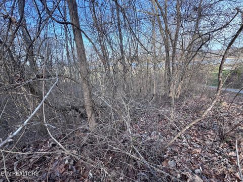 Tiny photo for 344 Larayne Hollow Rd, Sharps Chapel, TN 37866 (MLS # 1332909)