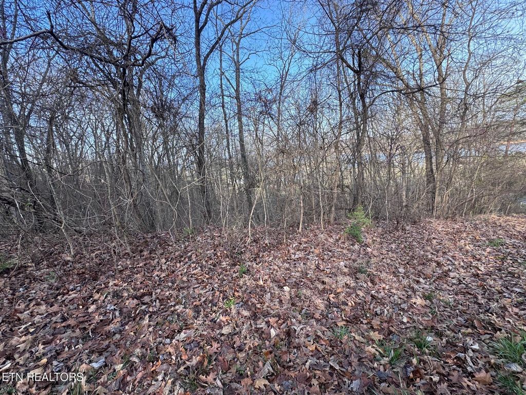 Photo of 344 Larayne Hollow Rd, Sharps Chapel, TN 37866 (MLS # 1332909)