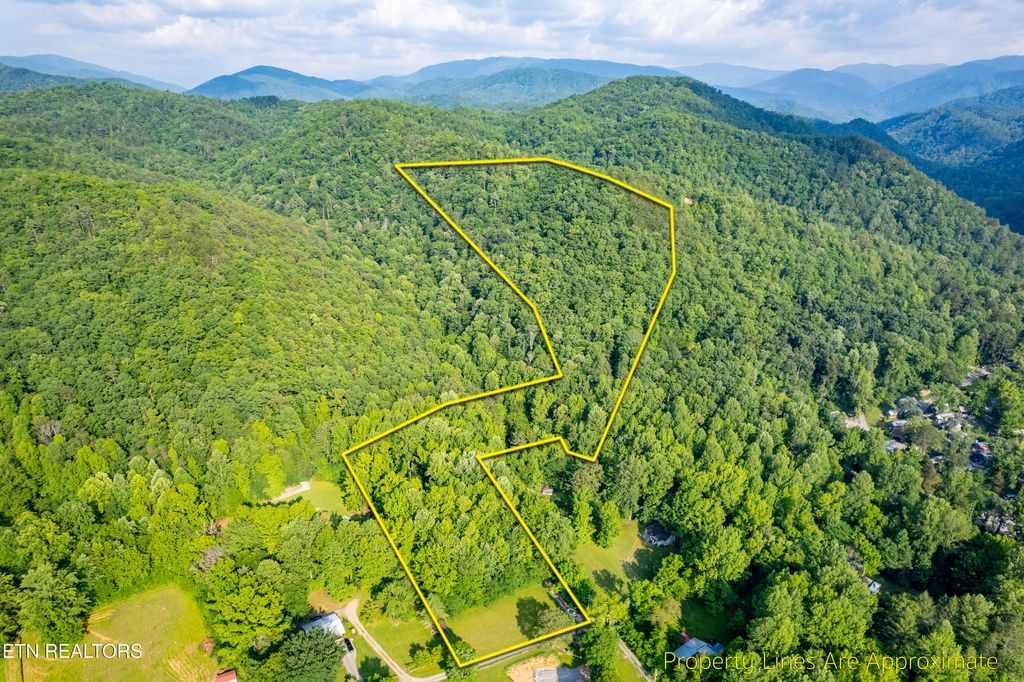 Photo of 226 Stables Drive, Townsend, TN 37882 (MLS # 1304507)