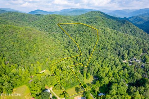 226 Stables Drive Townsend TN 37882