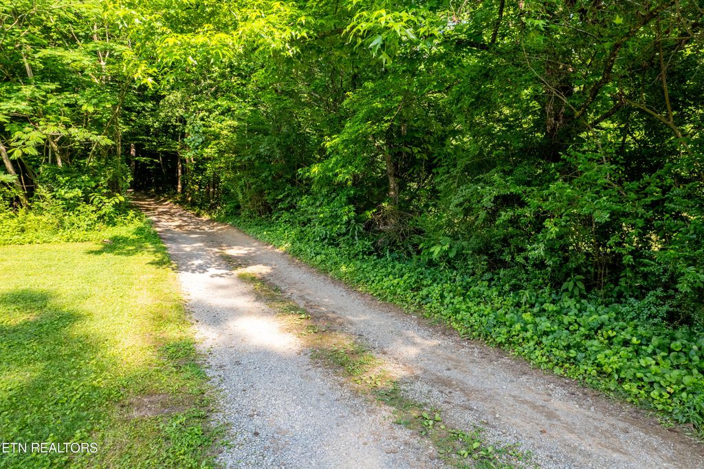 Photo of 226 Stables Drive, Townsend, TN 37882 (MLS # 1304507)