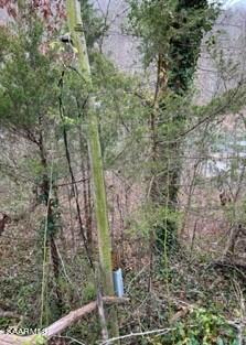 Indian River Boat Dock Rd