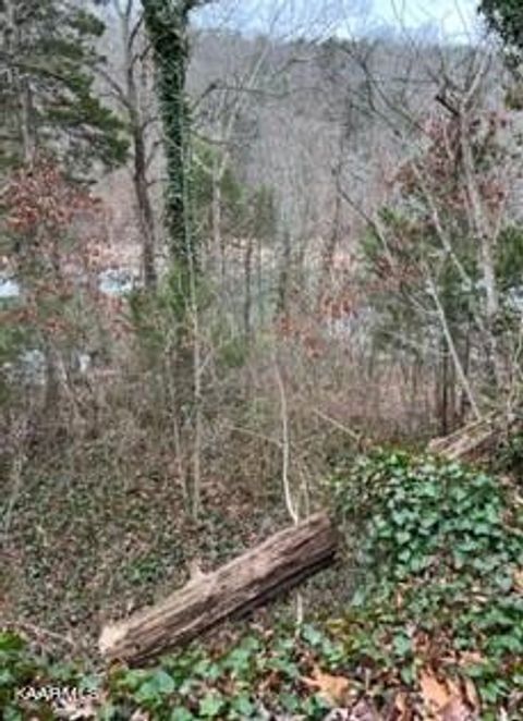 Indian River Boat Dock Rd Jacksboro TN 37757