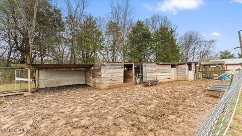 Tiny photo for 967 Dumplin Valley Rd, Jefferson City, TN 37760 (MLS # 1323838)