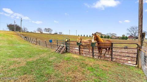 Tiny photo for 967 Dumplin Valley Rd, Jefferson City, TN 37760 (MLS # 1323838)
