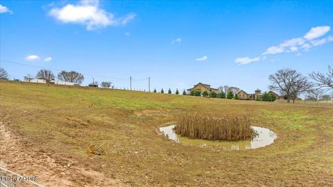 Tiny photo for 967 Dumplin Valley Rd, Jefferson City, TN 37760 (MLS # 1323838)