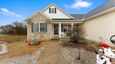 Tiny photo for 967 Dumplin Valley Rd, Jefferson City, TN 37760 (MLS # 1323838)