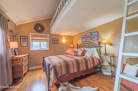 Tiny photo for 1449 Bucks Point Way, Dandridge, TN 37725 (MLS # 1332197)