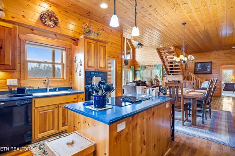 Tiny photo for 1184 Fawn Hollow Tr, Townsend, TN 37882 (MLS # 1334977)