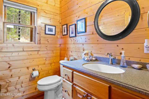 Tiny photo for 1184 Fawn Hollow Tr, Townsend, TN 37882 (MLS # 1334977)