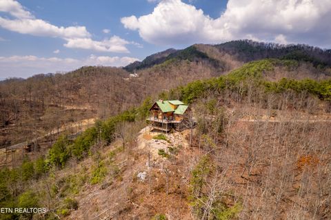 Tiny photo for 1184 Fawn Hollow Tr, Townsend, TN 37882 (MLS # 1334977)