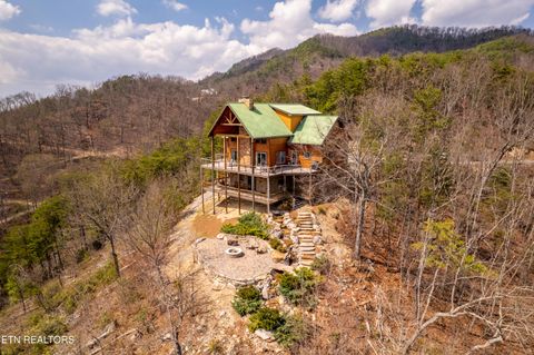 Tiny photo for 1184 Fawn Hollow Tr, Townsend, TN 37882 (MLS # 1334977)