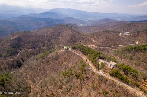 Tiny photo for 1184 Fawn Hollow Tr, Townsend, TN 37882 (MLS # 1334977)