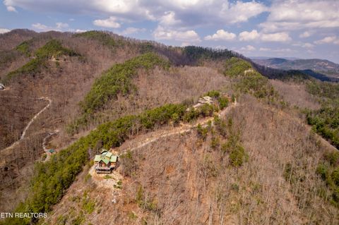 Tiny photo for 1184 Fawn Hollow Tr, Townsend, TN 37882 (MLS # 1334977)