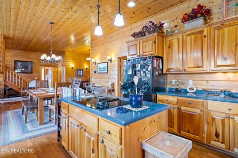 Tiny photo for 1184 Fawn Hollow Tr, Townsend, TN 37882 (MLS # 1334977)