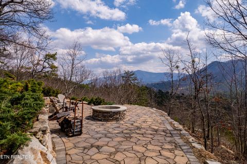 Tiny photo for 1184 Fawn Hollow Tr, Townsend, TN 37882 (MLS # 1334977)