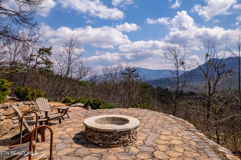 Tiny photo for 1184 Fawn Hollow Tr, Townsend, TN 37882 (MLS # 1334977)