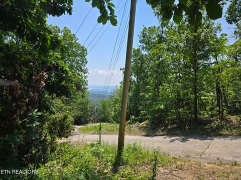 Wallen Lane Bean Station TN 37708