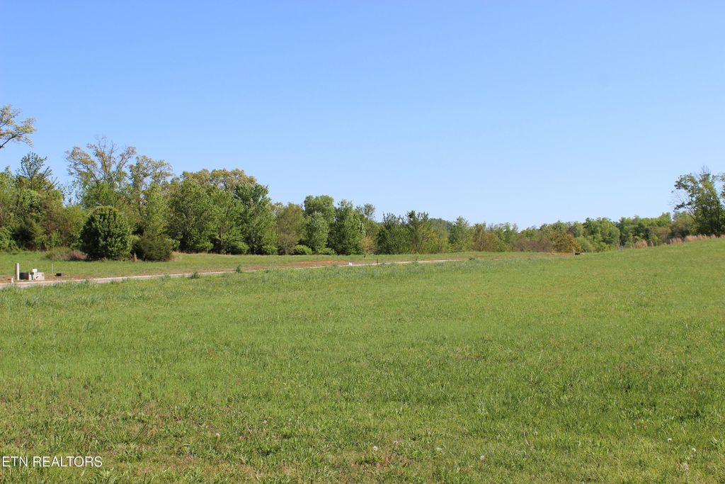 Photo of 120 Wilshaw Court, Madisonville, TN 37354 (MLS # 1286954)