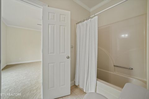 Tiny photo for 4228 Ridge Water Rd, Louisville, TN 37777 (MLS # 1339824)
