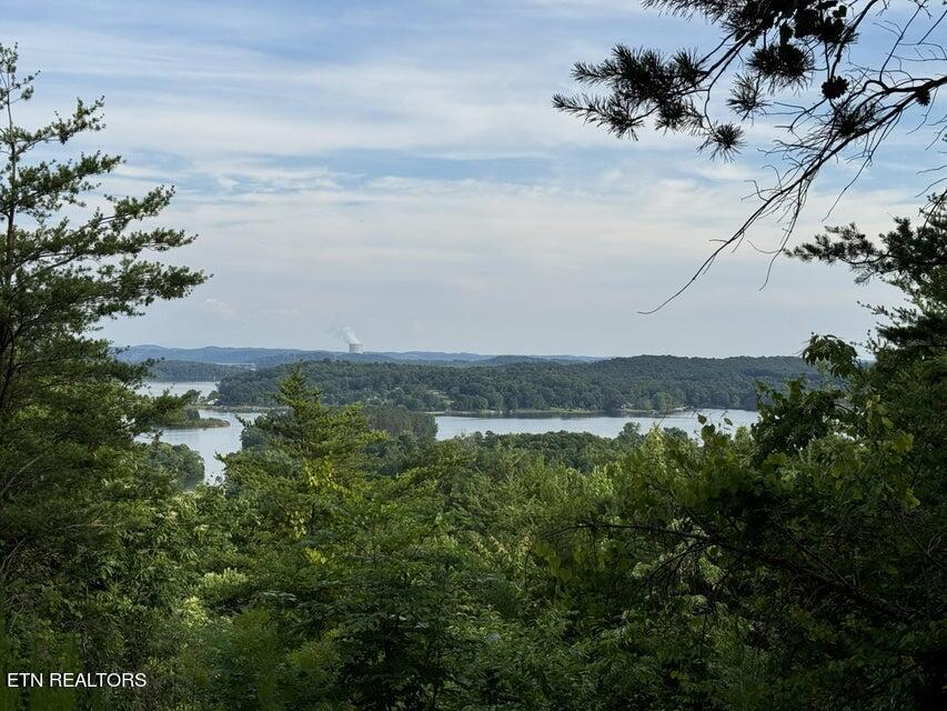 Photo of 00 Piney Point Rd, Spring City, TN 37381 (MLS # 1266799)