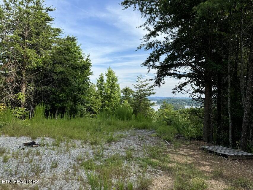 Photo of 00 Piney Point Rd, Spring City, TN 37381 (MLS # 1266799)