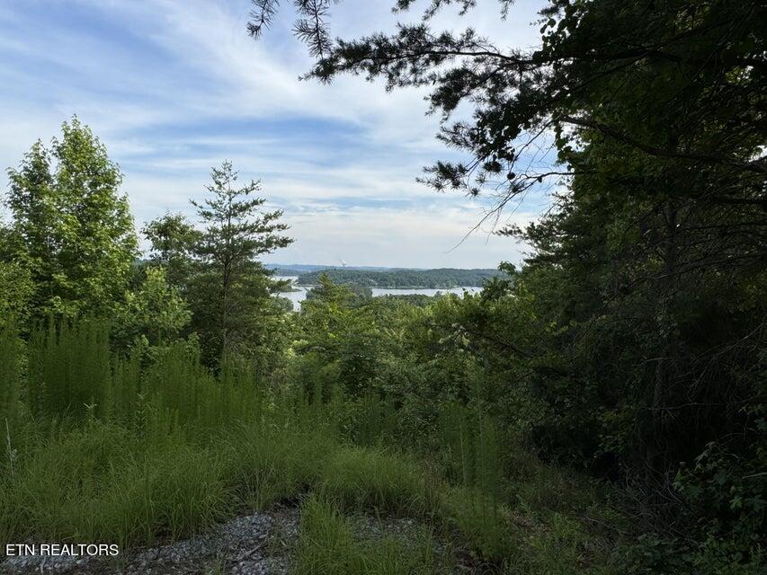 Photo of 00 Piney Point Rd, Spring City, TN 37381 (MLS # 1266799)