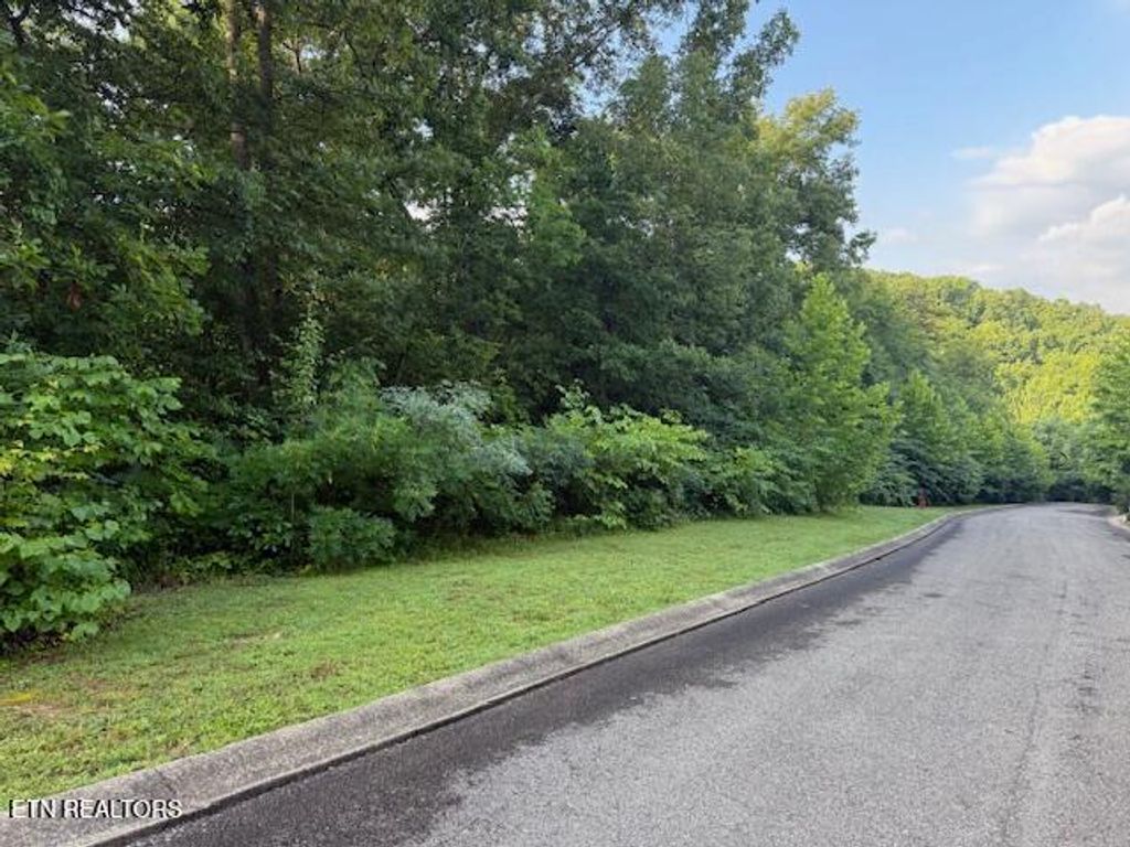 Photo of 15 Woodland Creek Drive, Dandridge, TN 37725 (MLS # 1306724)