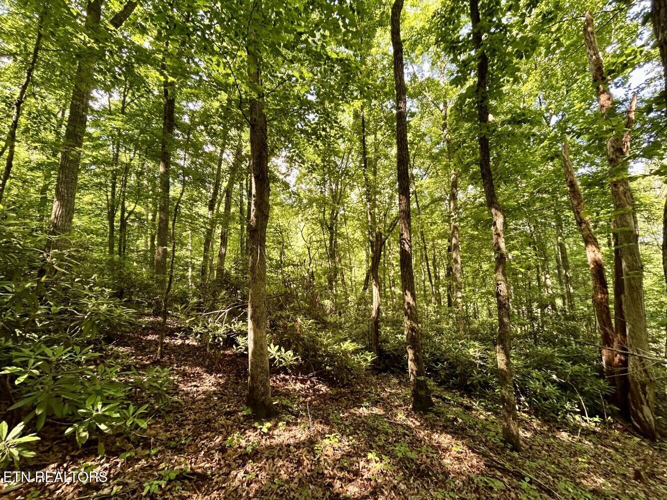000 Grand Country Drive