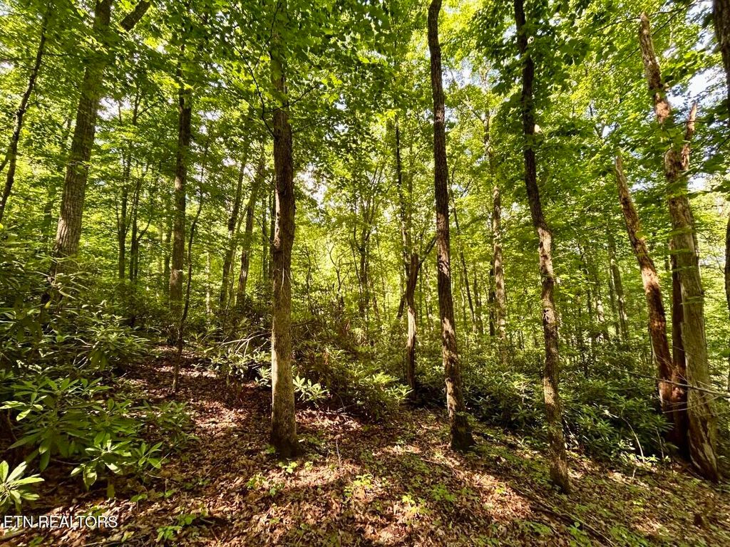 Photo of 000 Grand Country Drive, Cosby, TN 37722 (MLS # 1304313)