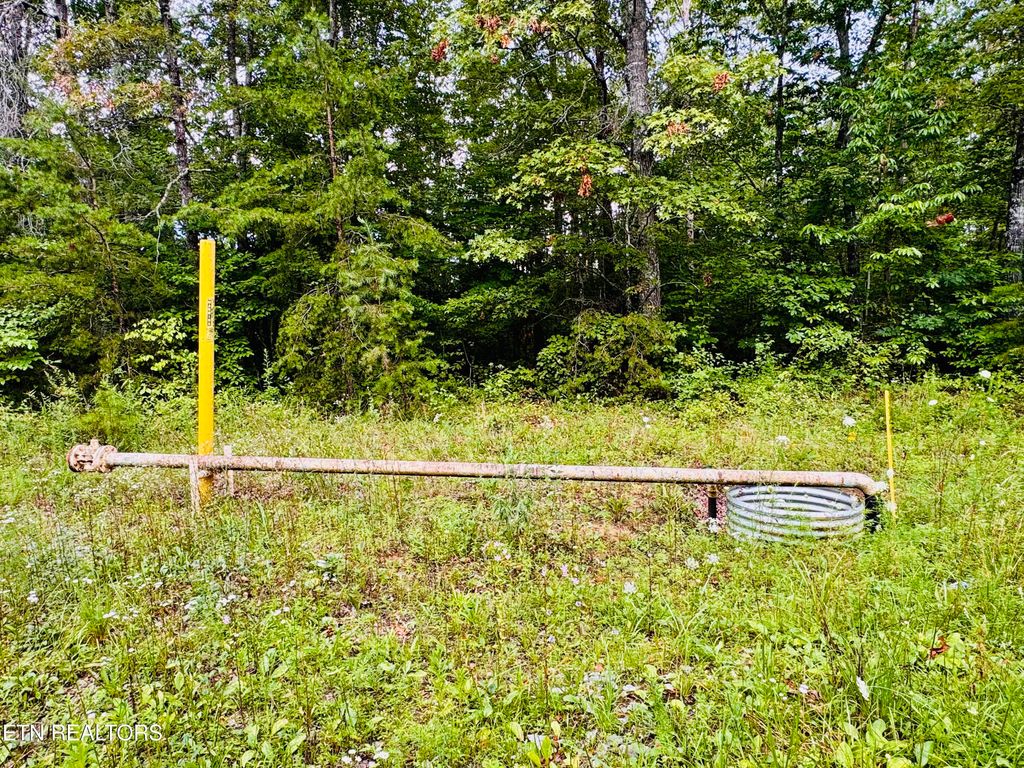 Photo of 0 Collins Tpke, Deer Lodge, TN 37726 (MLS # 1309541)