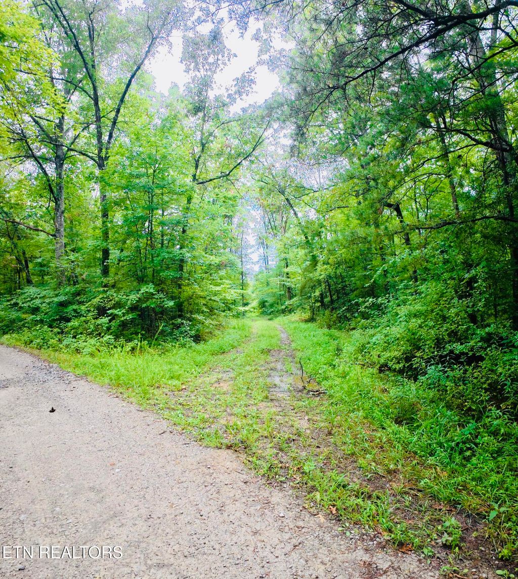 Photo of 0 Collins Tpke, Deer Lodge, TN 37726 (MLS # 1309541)