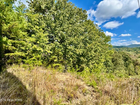 Tiny photo for 1065 Poplar Lane, Winfield, TN 37892 (MLS # 1359822)